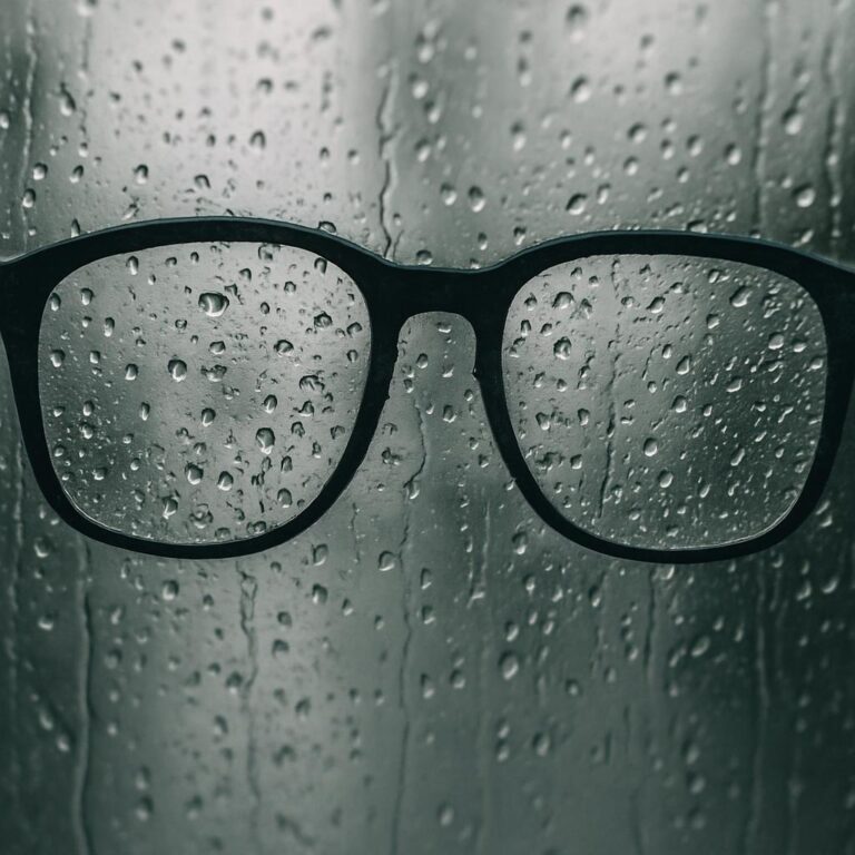 Een bril in de regen