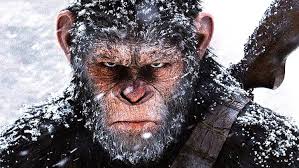 Ceasar, de chimpansee van de PLanet of the apes