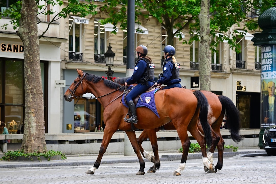 Politiepaarden controleren de stad