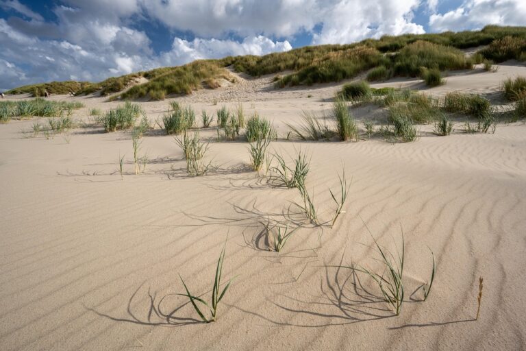Heel veel strand op Vlieland