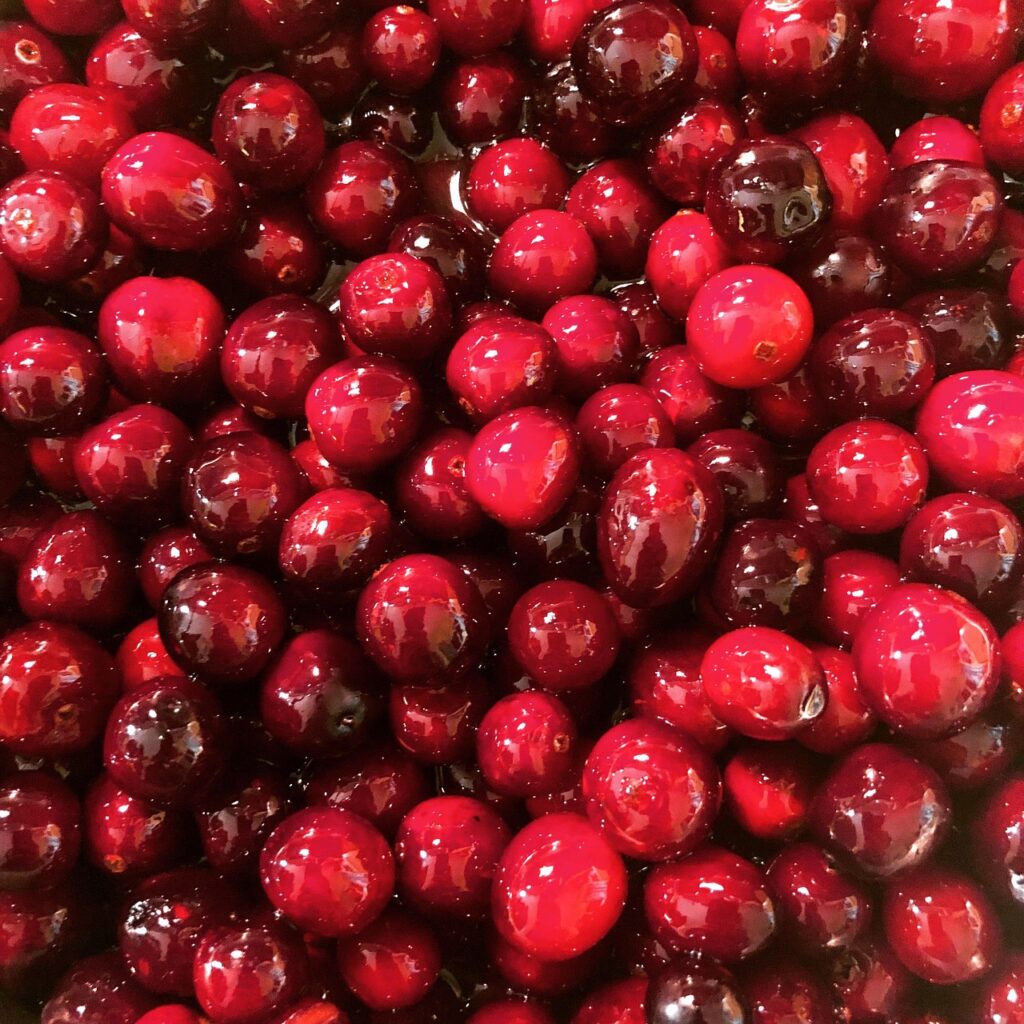 Cranberries op Vlieland